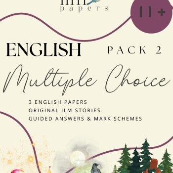 English - Multiple Choice 2